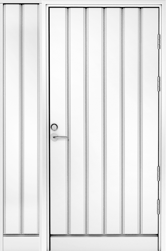 Белая входная дверь R1894 с глухой створкой фото 1 — Финдвери